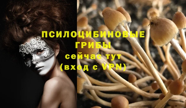 синтетический гашиш Богородицк