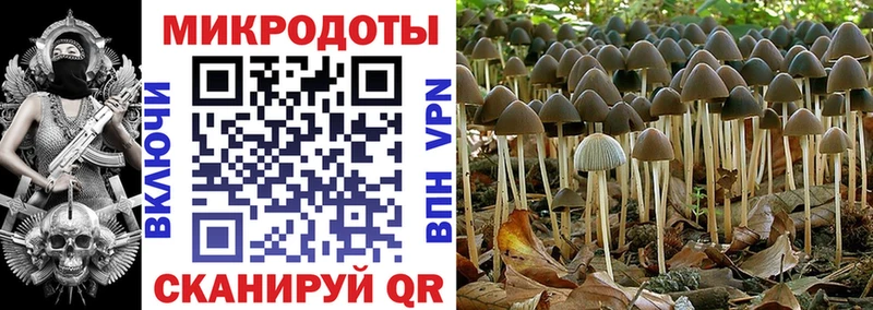 Купить закладки  Малоархангельск  Псилоцибиновые грибы GOLDEN TEACHER 